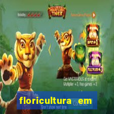 floricultura em porto alegre